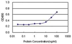 anti-NDN Matched Antibody Pair, Abnova&trade;