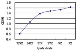 anti-NFIC Matched Antibody Pair, Abnova&trade;