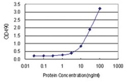 anti-NPHP1, Human, Matched Antibody Pair, Abnova&trade;