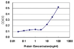 anti-PAX6 Matched Antibody Pair, Abnova&trade;