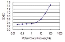 anti-PCK1, Human, Matched Antibody Pair, Abnova&trade;