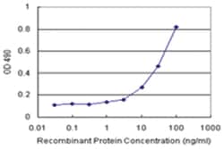 anti-PECAM1 Matched Antibody Pair, Abnova
