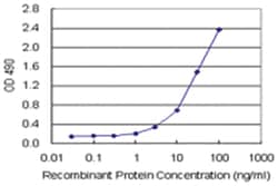 anti-PEPD Matched Antibody Pair, Ab-1, Abnova
