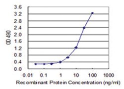 anti-PEPD, Human, Matched Antibody Pair, Abnova&trade;