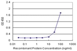 anti-PKNOX1 Matched Antibody Pair, Ab-1, Abnova