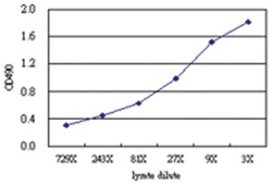 anti-PLAUR, Human, Matched Antibody Pair, Abnova™