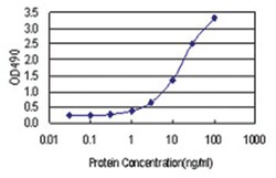 PLEK, Human, Matched Antibody Pair (AP11), Abnova&trade;