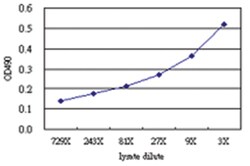 anti-POU6F1 Matched Antibody Pair, Abnova™