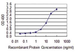 anti-PPID, Human, Matched Antibody Pair, Abnova 1 Set:Antibodies, Monoclonal/Polyclonal