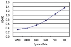 anti-PKN1 Matched Antibody Pair, Abnova&trade;