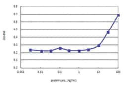 anti-MAPK10, Human, Matched Antibody Pair, Abnova&trade;