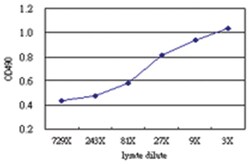 Abnova anti-MAPK13 Matched Antibody Pair, Abnova™