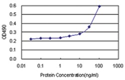 anti-LGMN Matched Antibody Pair, Abnova&trade;