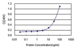 anti-PTPN2 Matched Antibody Pair, Abnova&trade;