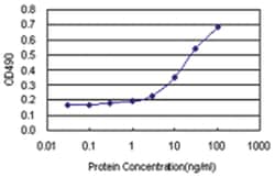 Abnova anti-PTPN6, Human, Matched Antibody Pair, Abnova™