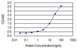 anti-PVRL2 Matched Antibody Pair, Abnova&trade;