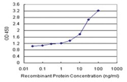 anti-PEX19 Matched Antibody Pair, Abnova