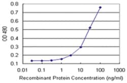 anti-PEX19 Matched Antibody Pair, Abnova 1 Set, Unlabeled:Antibodies, Monoclonal/Polyclonal