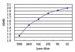 anti-RALB Matched Antibody Pair, Abnova™