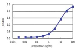 RBP4, Human, Matched Antibody Pair (AP43), Abnova™