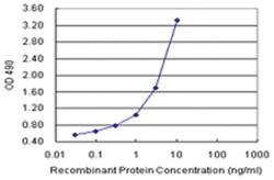 anti-RCVRN Matched Antibody Pair, Abnova