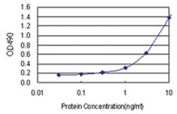 RGS3, Human, Matched Antibody Pair (AP21), Abnova&trade;