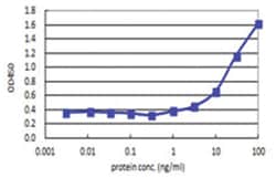 anti-RXRA, Human, Matched Antibody Pair, Abnova™
