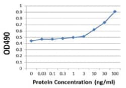 anti-S100B, Human, Matched Antibody Pair, Abnova 1 Set:Antibodies, Monoclonal/Polyclonal