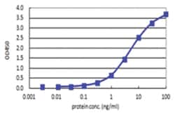 anti-SNCB, Human, Matched Antibody Pair, Abnova™
