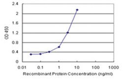 anti-STAT4 Matched Antibody Pair, Abnova