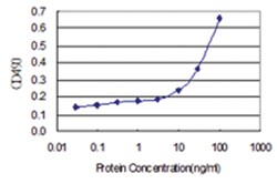 anti-HSPA13, Human, Matched Antibody Pair, Abnova&trade;