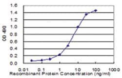 anti-STX1A, Human, Matched Antibody Pair, Abnova&trade;