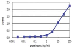anti-T, Human, Matched Antibody Pair, Abnova™