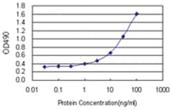 anti-TCF7 Matched Antibody Pair, Abnova&trade;