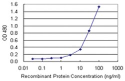 anti-TRAF1 Ab-2 Matched Antibody Pair, Abnova&trade;
