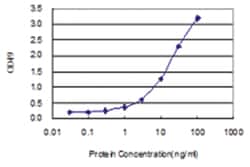 anti-TUFM Matched Antibody Pair, Ab-1, Abnova
