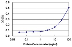anti- VASP Matched Antibody Pair, Abnova&trade;
