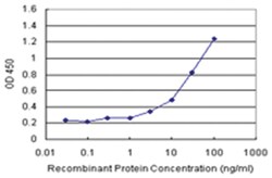 anti-VIL1 Matched Antibody Pair, Ab-1, Abnova