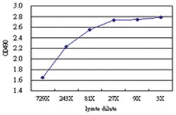 anti-WARS Matched Antibody Pair, Abnova&trade;