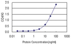 anti-XRCC4 Matched Antibody Pair, Abnova&trade;