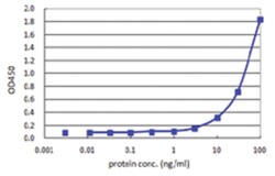 anti-NCOA4, Human, Matched Antibody Pair, Abnova™