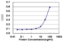 anti-SYN3 Matched Antibody Pair, Abnova 1 Set, Unlabeled:Antibodies, Monoclonal/Polyclonal
