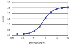 anti-USP9X, Human, Matched Antibody Pair, Abnova™