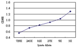 anti-IFITM1 Matched Antibody Pair, Abnova&trade;