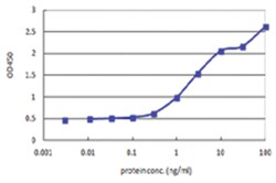 anti-GCM1, Human, Matched Antibody Pair, Abnova&trade;