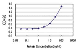 anti-DGKZ Matched Antibody Pair, Abnova&trade;