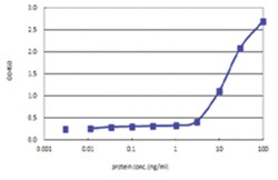 anti-KHSRP, Human, Matched Antibody Pair, Abnova&trade;
