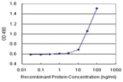 anti-NUMB Ab-2 Matched Antibody Pair, Abnova 1 Set, Unlabeled:Antibodies,