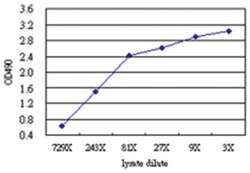 anti-FADD Ab-2 Matched Antibody Pair, Abnova&trade;