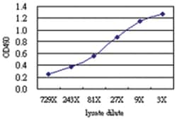 anti-NRP1, Human, Matched Antibody Pair, Abnova™